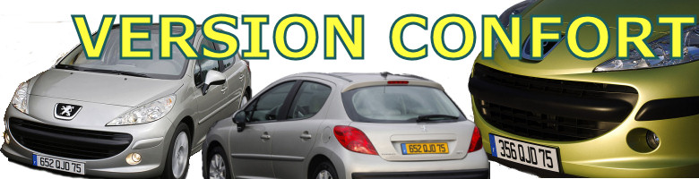Comfort version of Peugeot 207